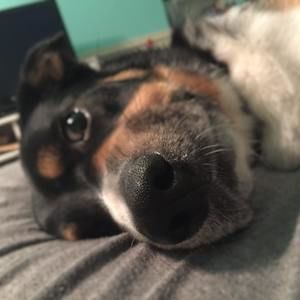 Meet your Posher, Jan